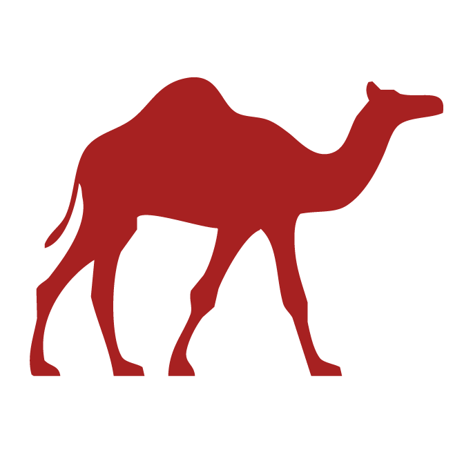 Camel