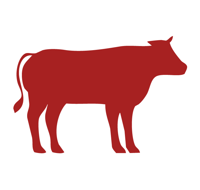 Cattle
